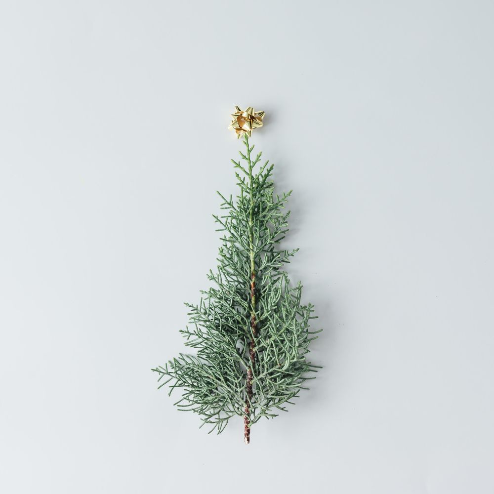 Christmas tree made of evergreen branch topped with gold bow on light background