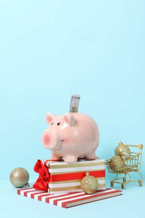 Concept of Christmas finance with piggy bank, space for text
