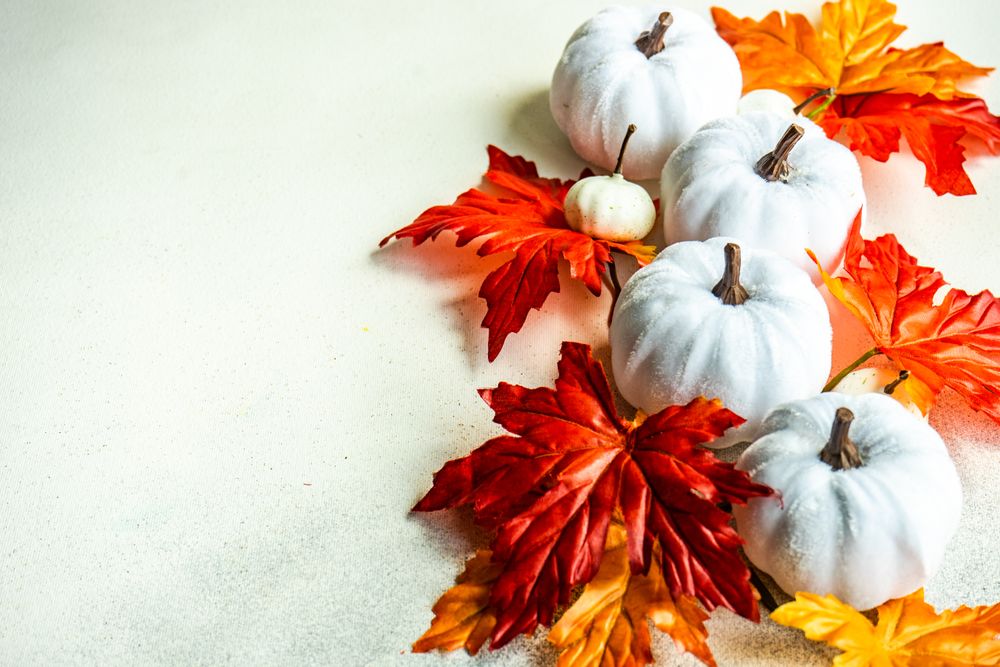 Light squash decorations with colorful autumn leaves with copy space