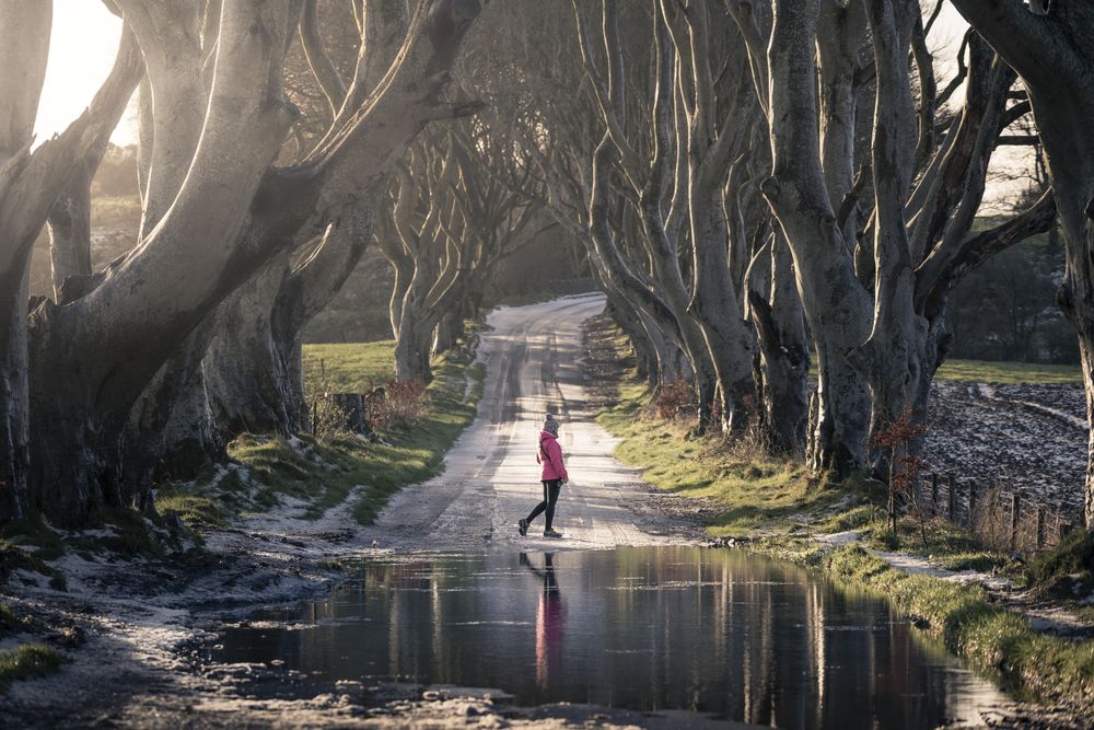 Unrecognizable person on beech trees tunnel in winter day