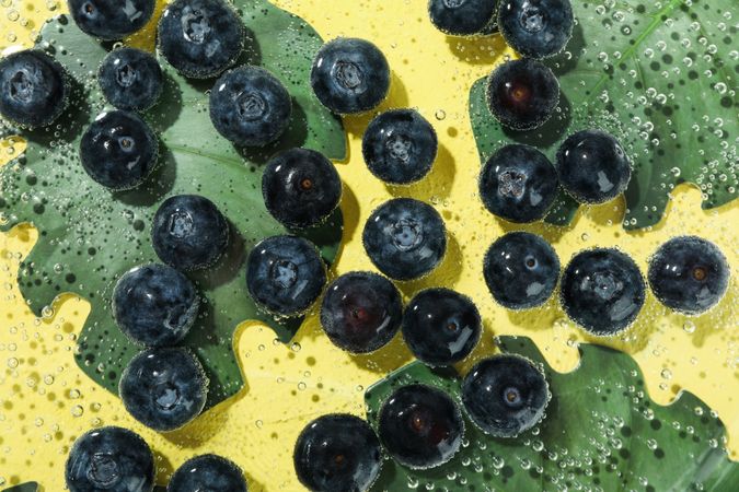 Top view of blueberries in water with leaves