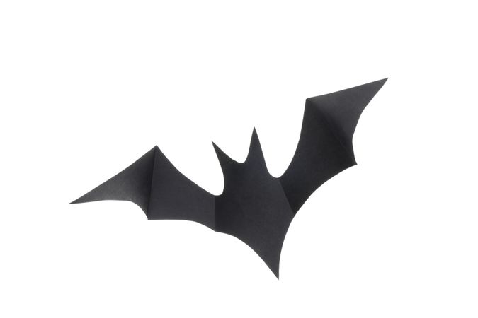 Decorative bat isolated on plain background