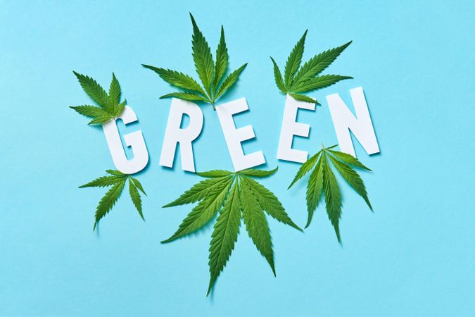 The word “Green” on blue background surrounded by cannabis leaves