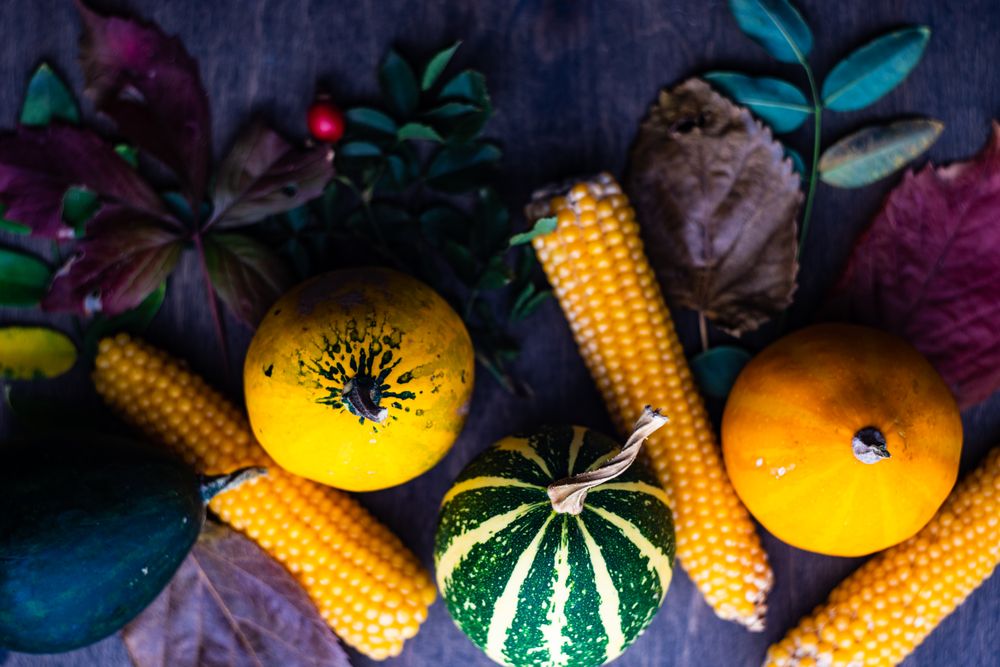 Top view of squash and corn with autumn leaves on table