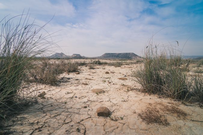 Desert landscape with dry vegetation on background of blue sky