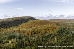 Autumn leaves on Leveaux Mountain viewed from an overlook on the Oberg Mountain Trail Head bDwWV4