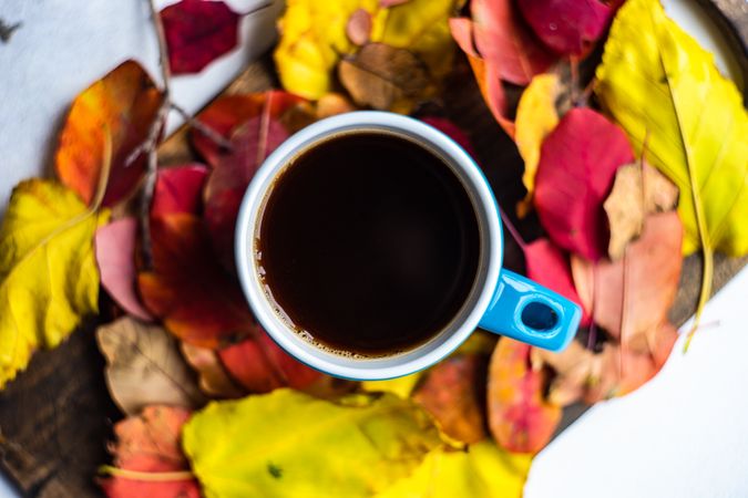 Looking down at autumnal cup of coffee