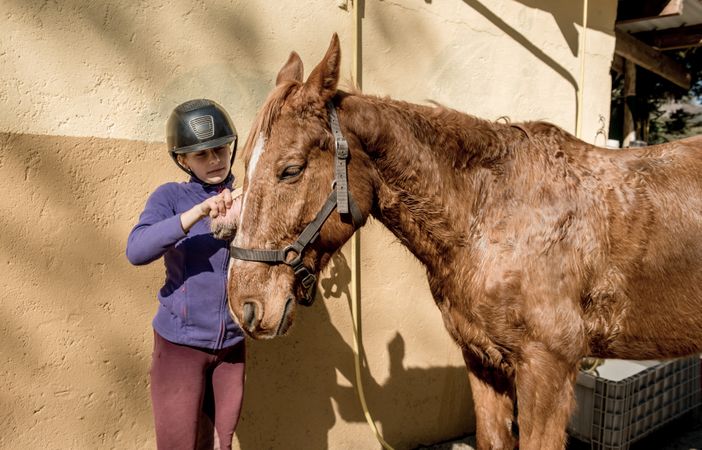 Woman and girl brushing horse