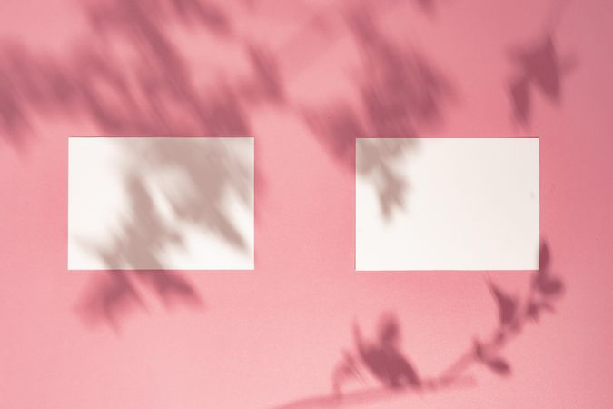 Paper card notes on bright pastel pink sunlit background with branch shadows