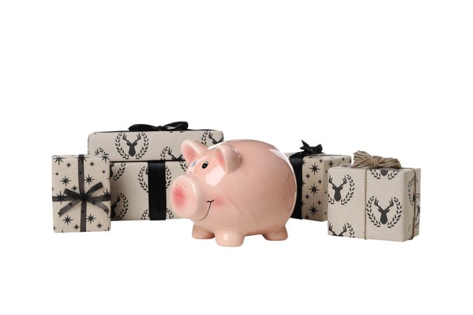 Gift boxes and piggy bank, isolated on light background