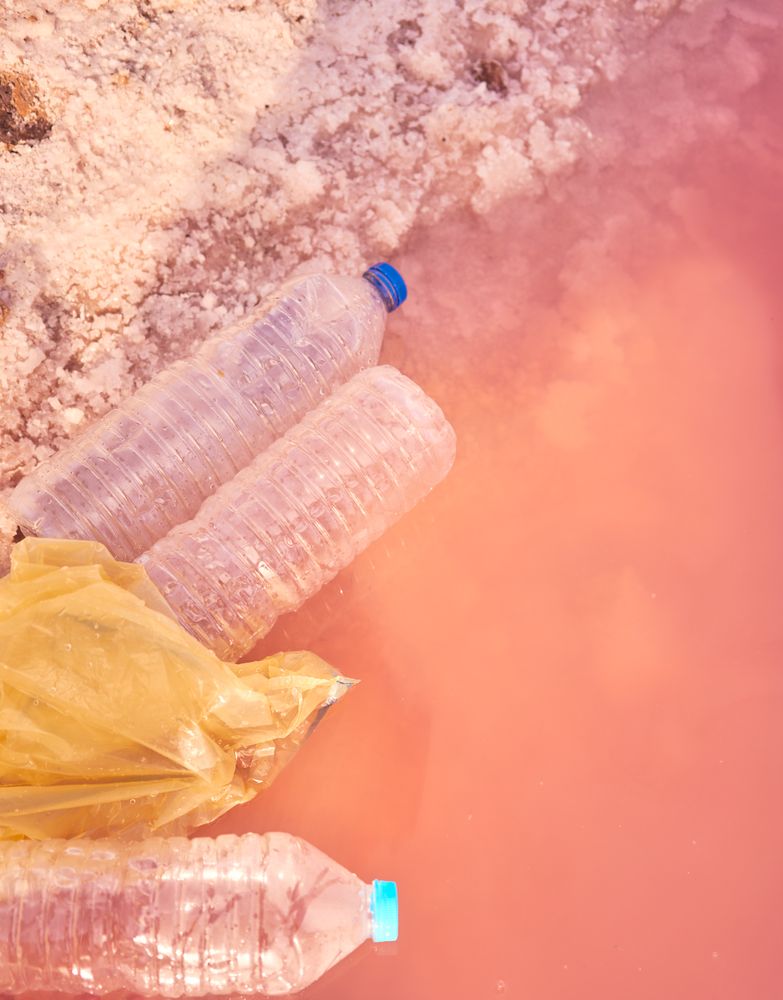 Plastic rubbish in polluted sea water