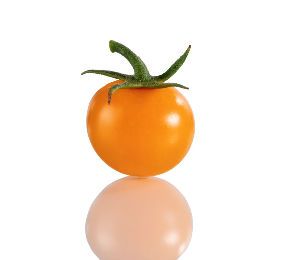 Single cherry tomato isolated on plain background