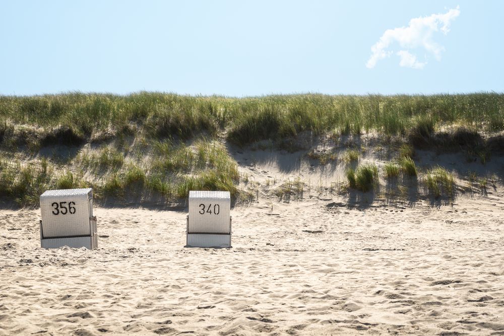 Two beach chairs under the sun