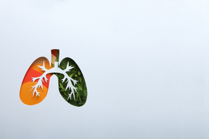 Lung shape in paper with bronchus and green and orange color underneath with copy space