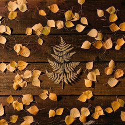 Golden leaf in shape of Christmas tree on autumn leaf wooden background