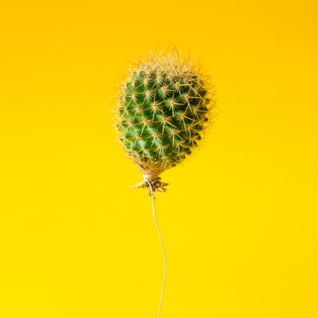 Cactus balloon floating away
