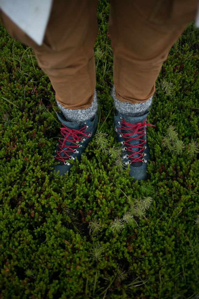 Hikers boots and legs in the grass
