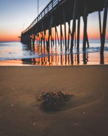 Bottom view of wooden dock on seashore during sunset
