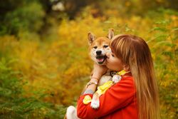 Female in red coat kissing her cute shibu dog standing in field