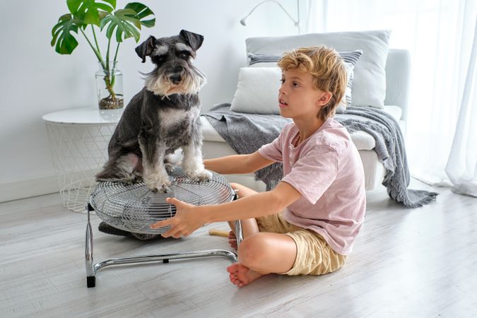 Boy playing with dog on fan