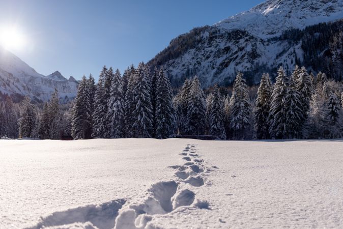 Footsteps in deep snow in the Bavarian Alps valley on a sunny day in December