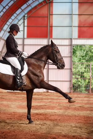 Female equestrian on show horse in red arena