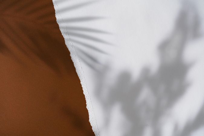 Tropical palm shadow over brown and light torn paper background
