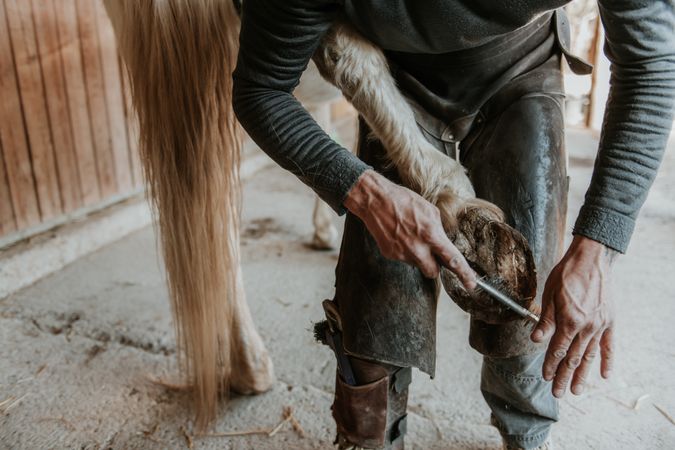 Man shoeing horse near stable