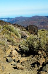 Volcano of Teide from above