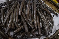 Close up of vanilla beans