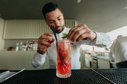 Cheerful Barman preparing alcoholic drinks in a bar.