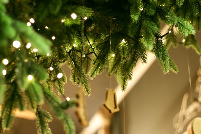 Christmas or New year background with green pine branches and fairy lights