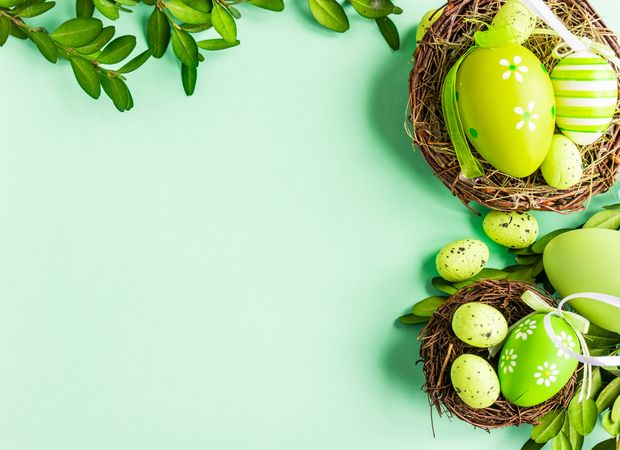 Easter card concept with green decorative Easter eggs in nest