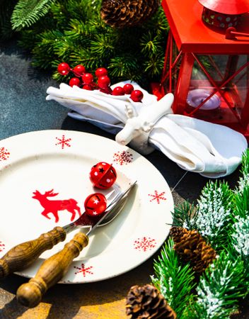 Christmas dinner concept with reindeer plate