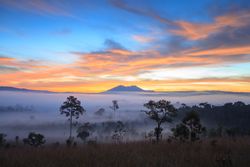 Landscape fog in morning sunrise at Thung Salang Luang National Park Phetchabun,Tung slang luang is Grassland savannah in Thailand