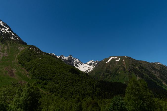 Green hillside with trees and boulders