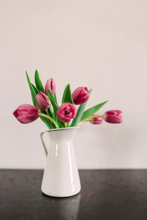 Pink tulips in vase