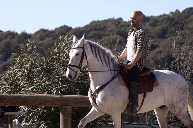 Man riding horse around paddock