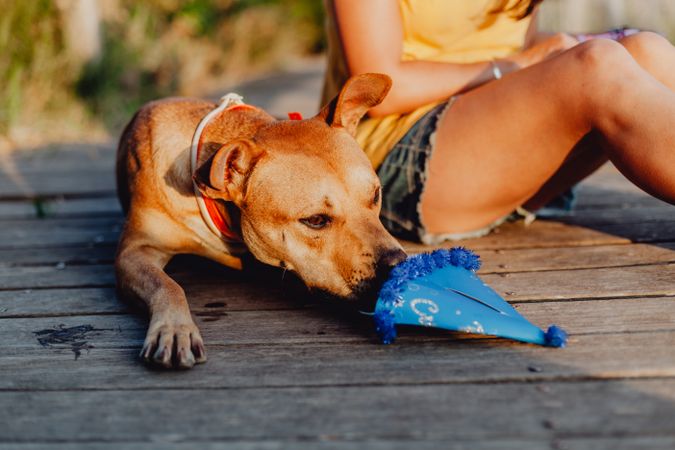 Casual young woman resting next to brown dog with party hat
