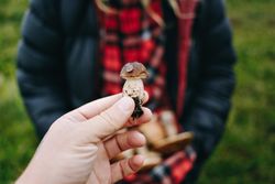 Hand holding up foraged mushroom in front of friend