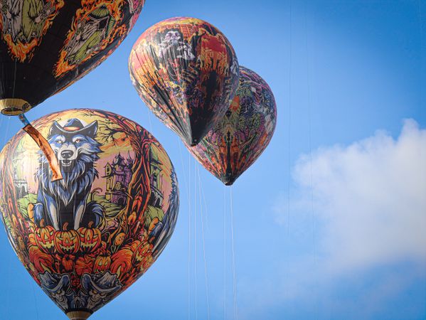Traditional Balloon Festival, colorful and amazing with beautiful blue sky