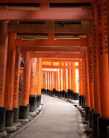 Interior perspective of Fushimi Inari-Taisha in Japan