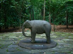 Elephant statue on stone patio in lush green gardens v4mPd5