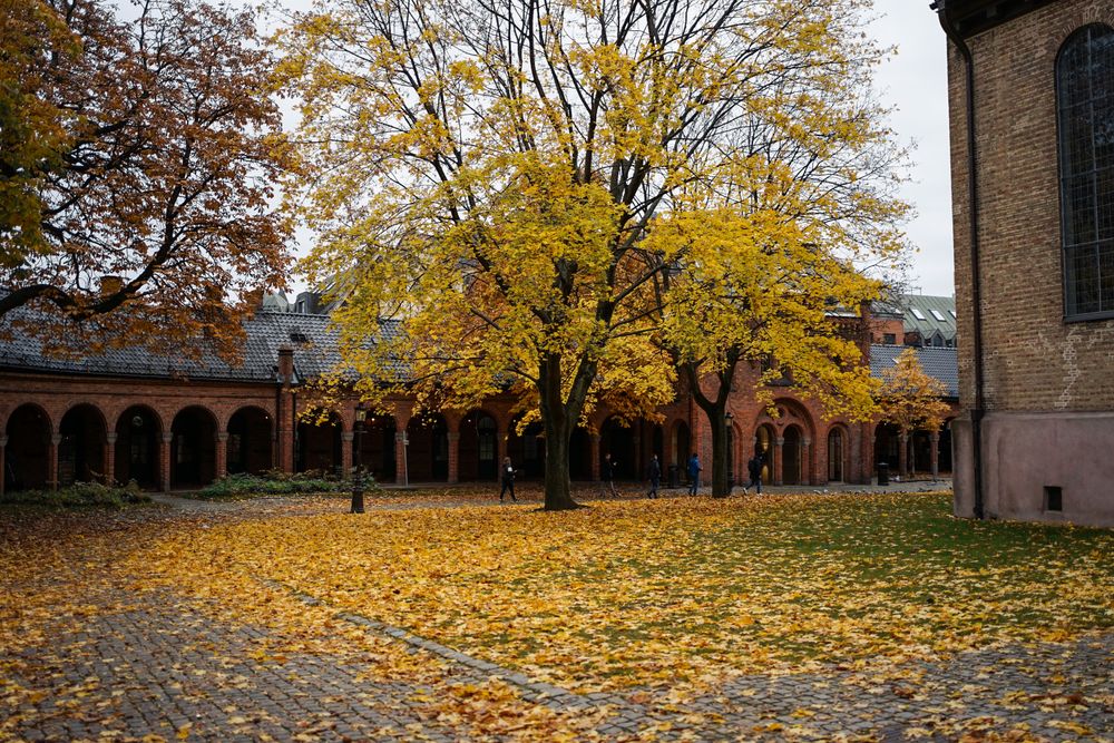 Autumn in patio of Oslo Cathedral in Norway