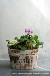 Floral composition in rustic pot 5lVoBo