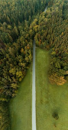 Drone vertical panorama with road going into the forest.