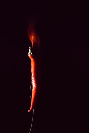 red chili pepper on fire in fork on a dark background