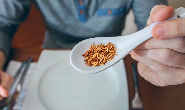 Man showing a spoonful of worms