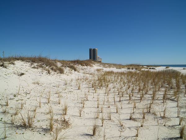 Sandy beach with grass and high-rise apartment in distance