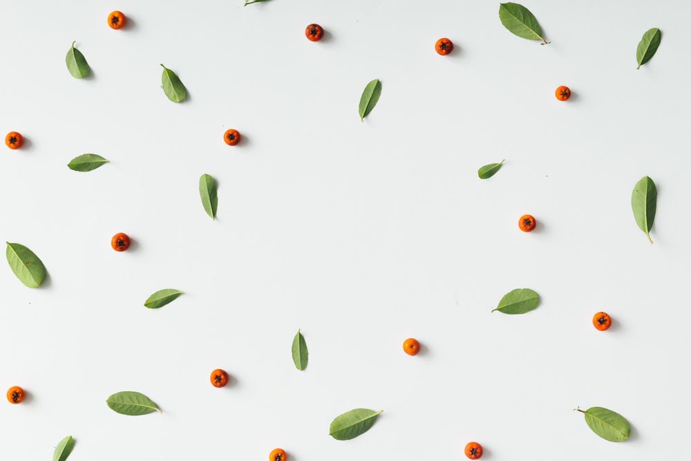 Coffee fruit and leaf pattern on light background